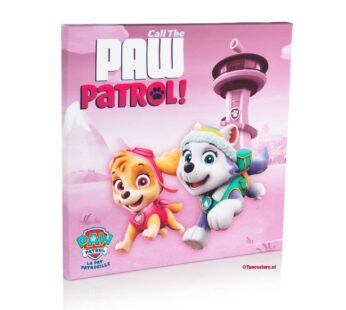 Paw Patrol op canvas Skye en Everest