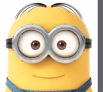 Minions Canvas Print Smile 40 x 40 cm