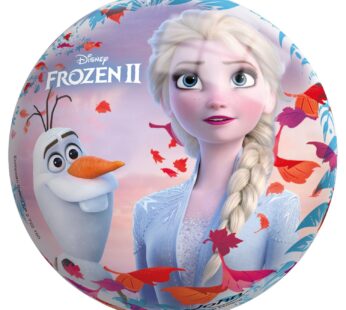 Kleine Bal Frozen