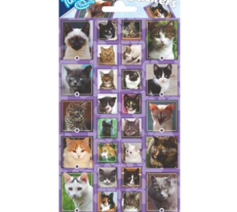 Stickers Katten