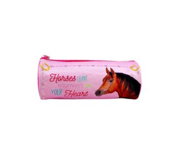 Dreamhorse Etui