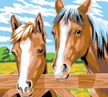 Schilderen Op Nummer Paar