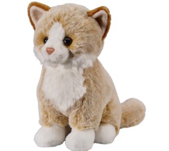 Pluche Knuffel Beige Kat