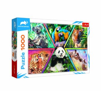 Puzzel Animal Planet – Animal Kingdom