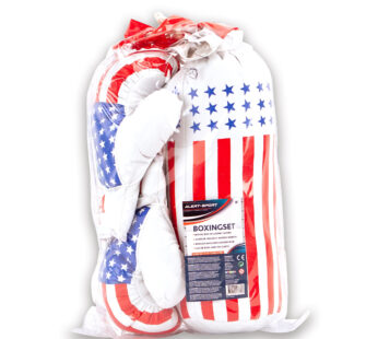 Alert Sport Boxing Training Set