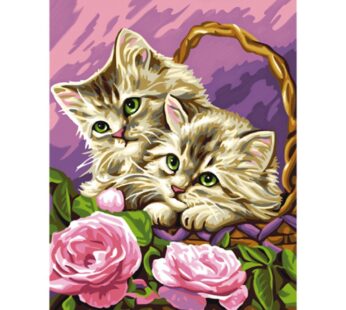 Schilderen Op Nummer – Kittens