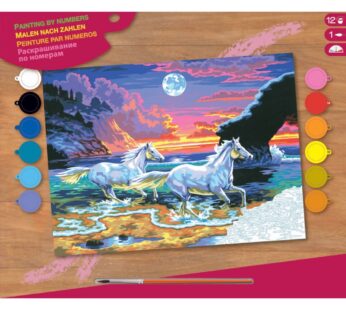 Schilderen Op Nummer – 2 Paarden